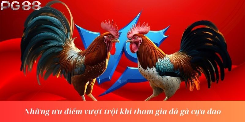 Những ưu điểm vượt trội khi tham gia đá gà cựa dao